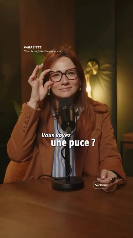 Contenu vertical Virbac